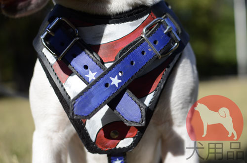 大型犬用アメリカンスタイル　ハーネス