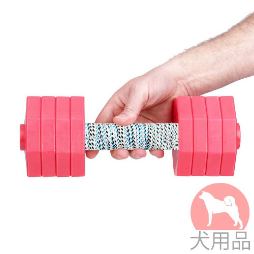 レトリーブ　訓練ダンベル(2000g)