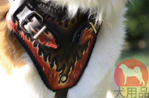 大型犬用ハーネス　グラフィックハーネス