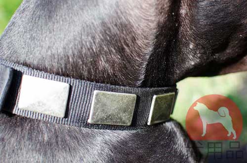 グレートデン用ナイロン首輪