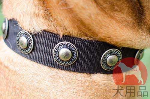 ブルマスティフ　首輪(ナイロン)