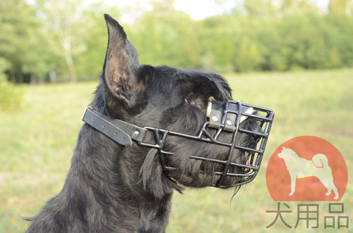 超大型犬用口輪　冬使用