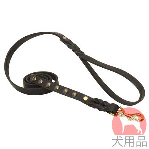 6個スタッズ付きおしゃれ　リード