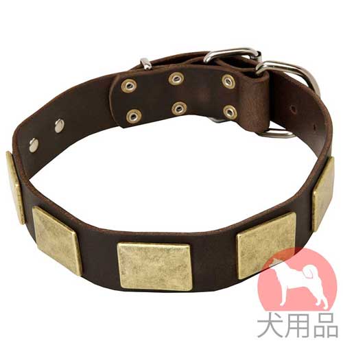 プレート付き革　首輪(黄銅)