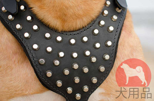 犬用ハーネス│ボルドー・マスティフ用ピラミッド付きハーネス