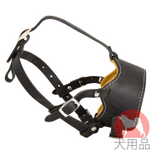 散歩用革製半口輪