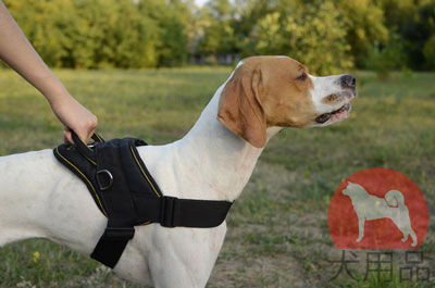 イングリッシュポインター　ハーネス　ナイロン製　多目的