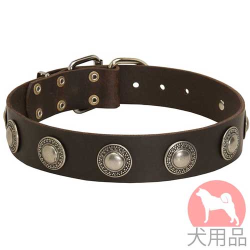 コンチョ付き犬　首輪(40mm)