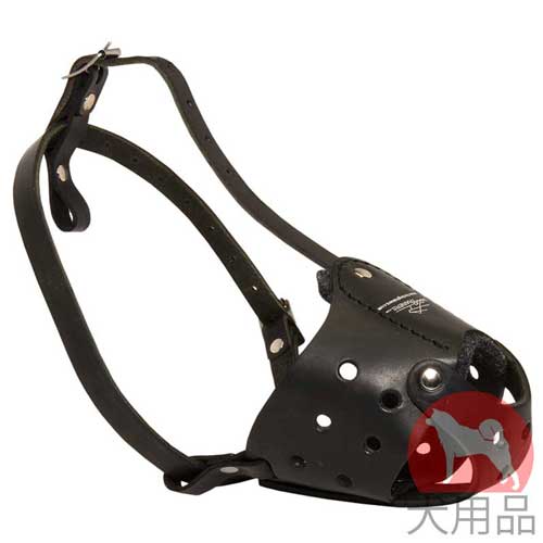 日常使用本革　口輪