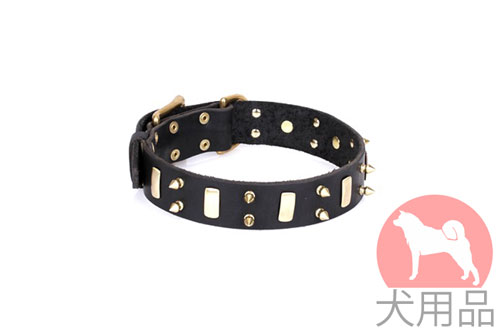 FDT Artisan "Medieval Style" かっこいい犬用首輪