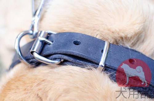 カネコルソ用フェルトの裏地付き首輪