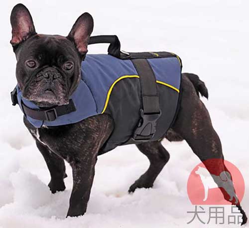 フレンチブルドッグ　寒さ対策ハーネス