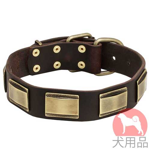 犬　首輪　革(おしゃれプレート付き)