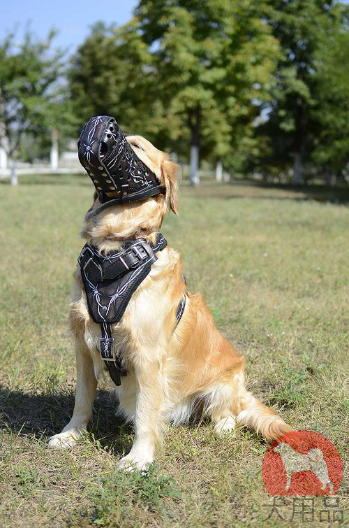 ゴールデンレトリバー　ハーネス(有刺鉄線柄)