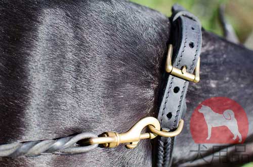 超大型犬用首輪　