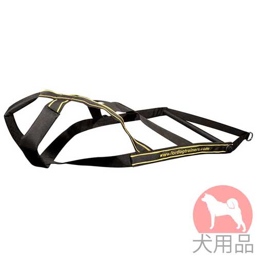 ウェイトプルハーネス