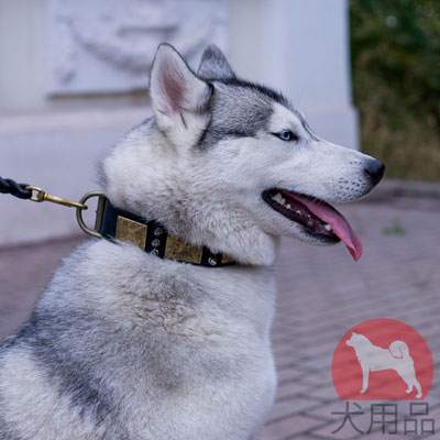 シベリアンハスキー　首輪　100％の本革製　おしゃれなデザイン