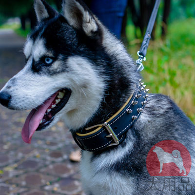 シベリアンハスキー　散歩にぴったり合う首輪　大型犬用　上質なレザー製
