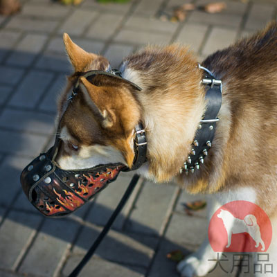 シベリアンハスキー犬の口輪　おしゃれなデザイン　革製