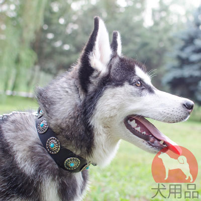 シベリアンハスキー　首輪　おしゃれなデザイン　本革製