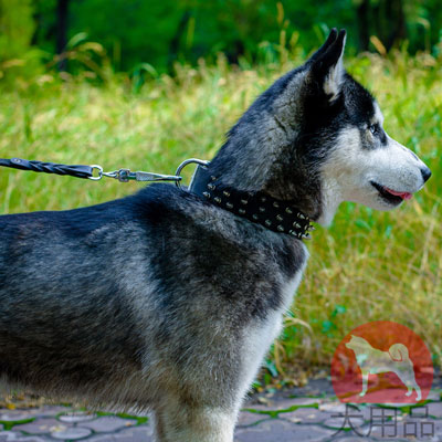 ハスキー　カラー　三列のスパイク付き　上質な本革製