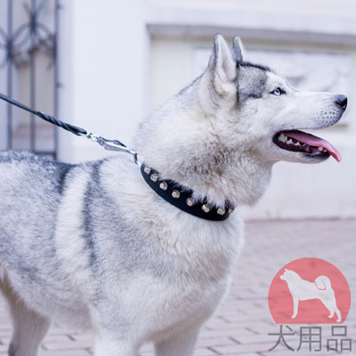 シベリアンハスキー　首輪　スタッズ付き　上質な本革製