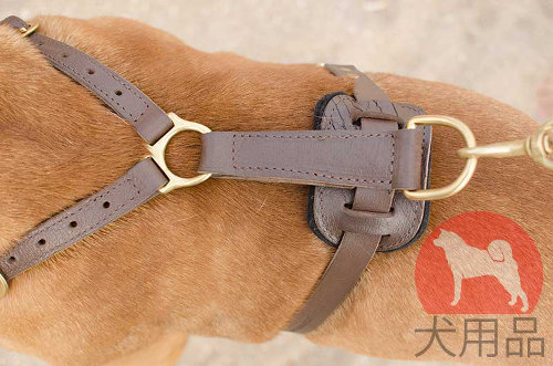 ボルドー・マスティフ用二重本革ハーネス