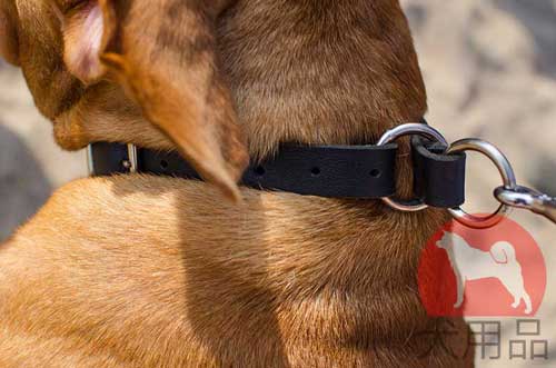 チョーク首輪│ボルドー・マスティフ用2way首輪