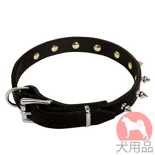 スパイク付小型犬　首輪(19mm,ニッケル)
