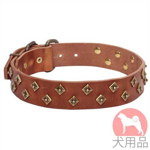 ドット付きスタッズ首輪(黄銅、40mm)