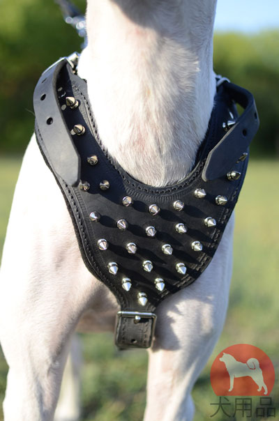 犬　胴輪　おしゃれ　革製　スタイリッシュなプレート付き