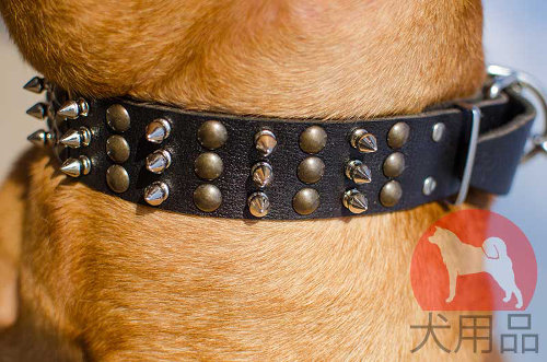 ボルドー・マスティフ用2種類金具付き革首輪