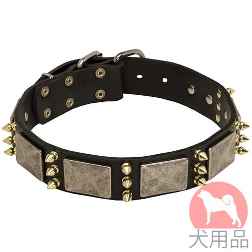 プレート付き大型犬　首輪(黄銅スパイク)