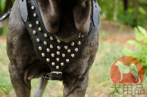 ピラミッドスタッズ付き本革ハーネス