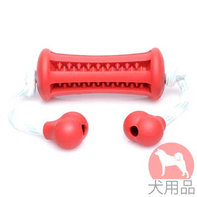 犬　歯磨き　ケアにピッタリ合うおもちゃ　ミントの香り