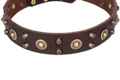 FDT ARTISANの犬用おしゃれな首輪　革製　スタッズの装飾付き