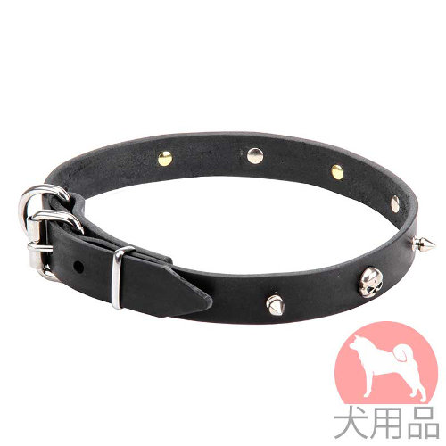 海賊スタッズ付犬　首輪(ニッケル、25mm)