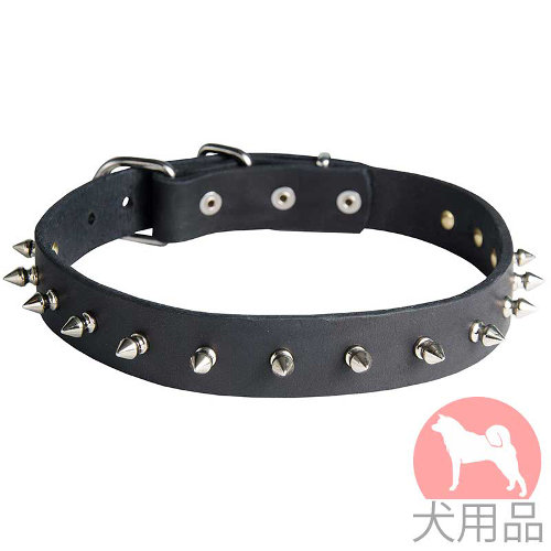 スパイク付革首輪(30mm,ニッケル)