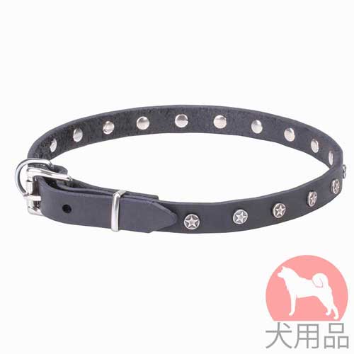 星型スタッズ付き小型犬　首輪(20mm)