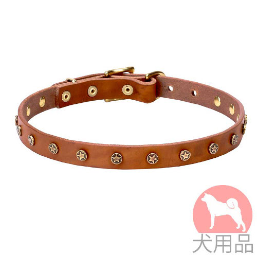 星型スタッズ付き小型犬用首輪(20mm、黄銅)