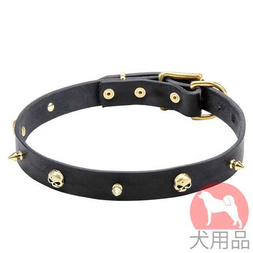 海賊スタッズ付き犬　首輪(黄銅、25mm)