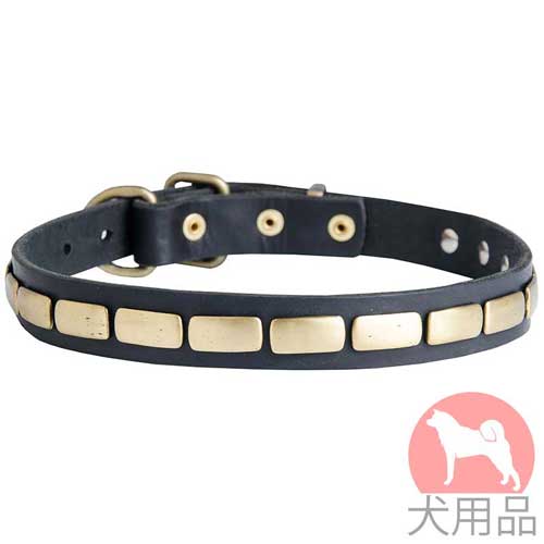 犬　首輪(エレガントのプレート)