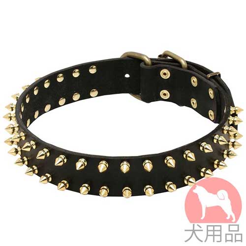 スパイク付おしゃれ首輪(40mm、黄銅)