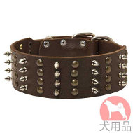 幅広首輪(60mm、ミックス)