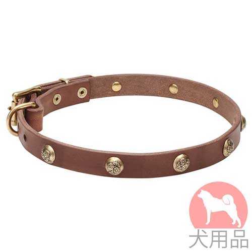 コンチョ付犬用首輪(黄銅、花柄)