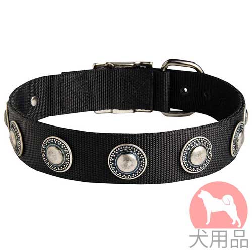 マウンテンドッグ用首輪　おしゃれコンチョ付