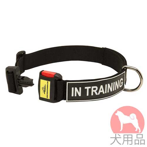 サインパッチ付訓練用ナイロン首輪