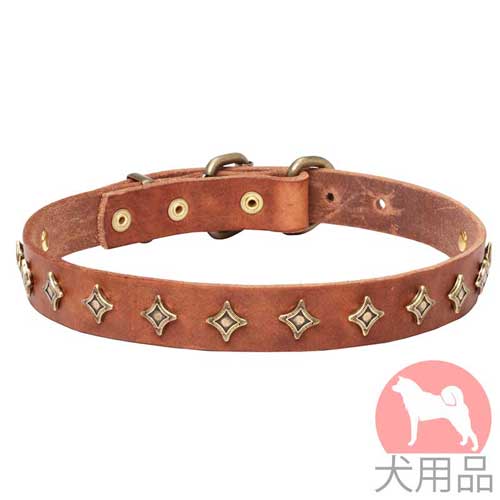 スタッズ　首輪(星型、黄銅)