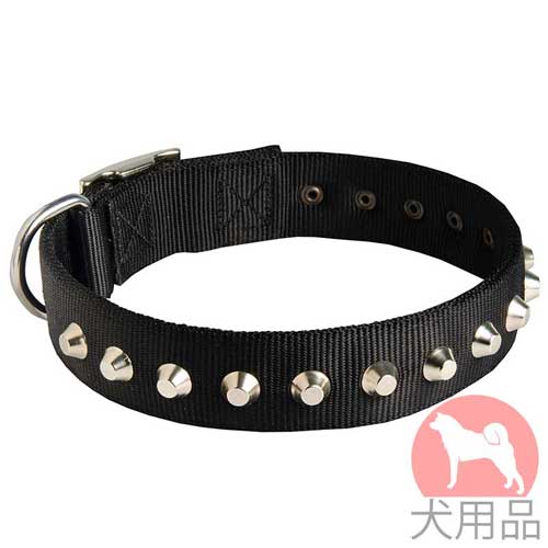 ピラミッドスタッズ付ナイロン首輪