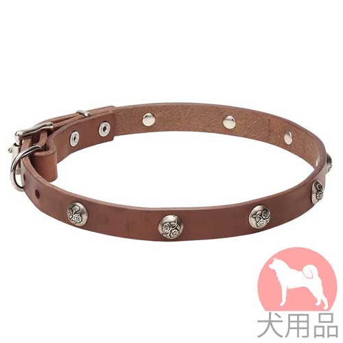 コンチョ付犬用首輪(ニッケル、20mm)